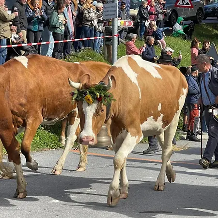 Lägenhet La Gare 4 Arveyes