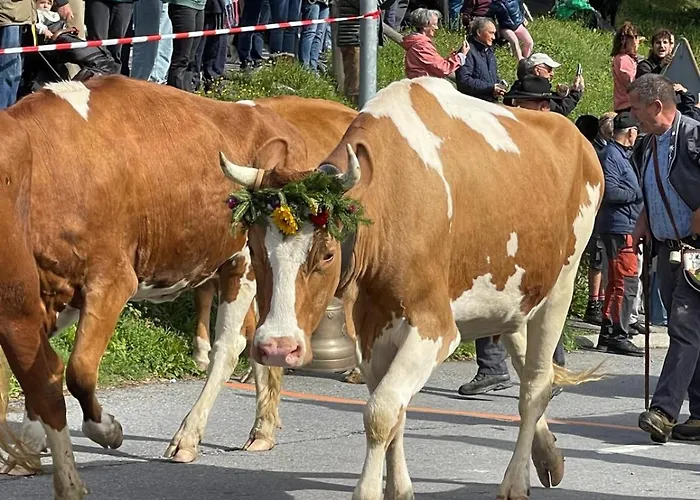 شقة La Gare 4 Arveyes