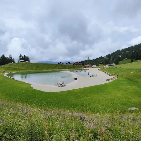 Apartment La Gare 4 Arveyes